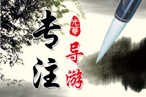 优势1专注导游