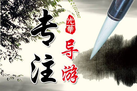 优势1专注导游