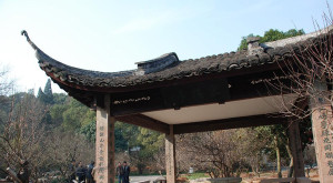 抓紧提前备考导游证吧！不然你就out啦！