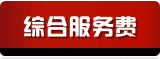 综合服务费
