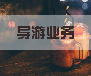 导游业务：出入境常识