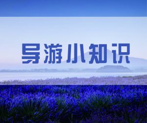 旅游找（旅行社）和（自己安排）的区别