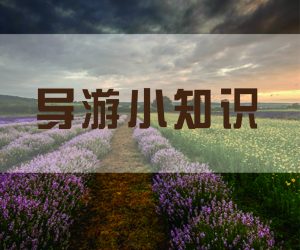 导游资格证考试面试（口试）技巧