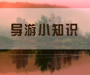 游客心目中理想的导游