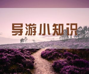 光华告诉你：导游证的各个级别