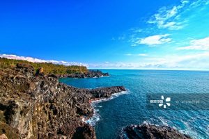 2019导游培训班报名