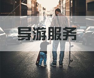 导游服务之特殊问题（事故）的处理程序与规范 5