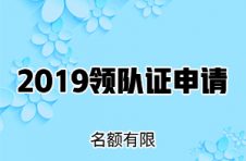 2019出境领队申请费用