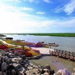 3 分钟理清！2026 天津导游证领取全流程（含电子证注册）