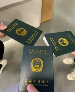 天津导游证报考费用2026｜拒绝乱收费！文旅局正规缴费通道