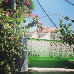 领队的职责和工作程序