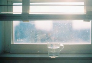 2016领队证最新模拟试题-光华教育