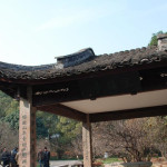 抓紧提前备考导游证吧！不然你就out啦！