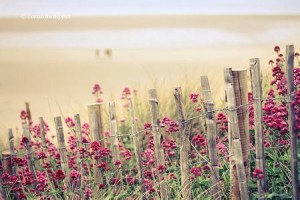 2016年天津光华教育出境领队证美国踩线课程