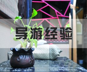 【导游一点通】2016年全国导游证考试方法全解析