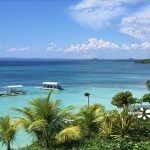 国家领队证报名费用