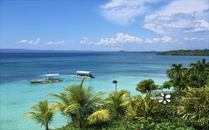 2019出境领队申请名额