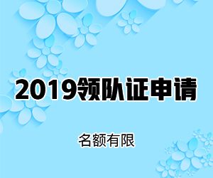 2019出境领队申请费用