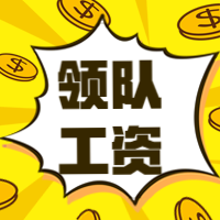 领队申请需要什么条件？